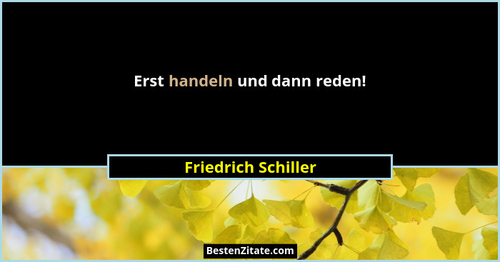 Erst handeln und dann reden!... - Friedrich Schiller