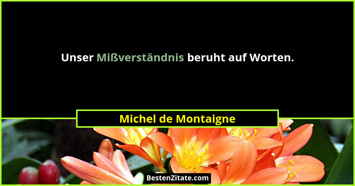 Unser Mißverständnis beruht auf Worten.... - Michel de Montaigne