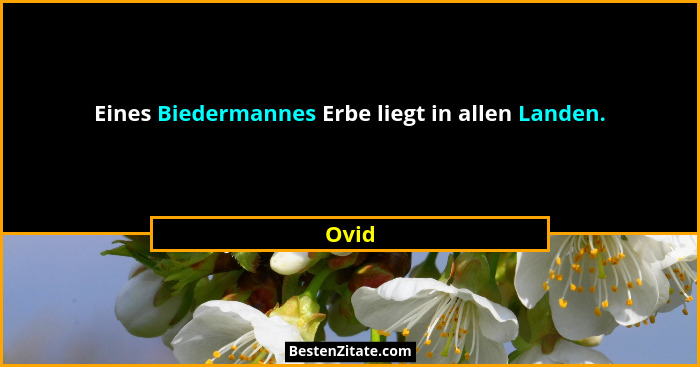 Eines Biedermannes Erbe liegt in allen Landen.... - Ovid