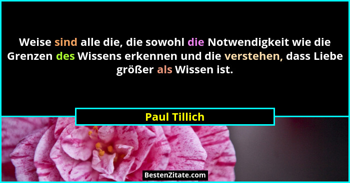 Weise sind alle die, die sowohl die Notwendigkeit wie die Grenzen des Wissens erkennen und die verstehen, dass Liebe größer als Wissen... - Paul Tillich