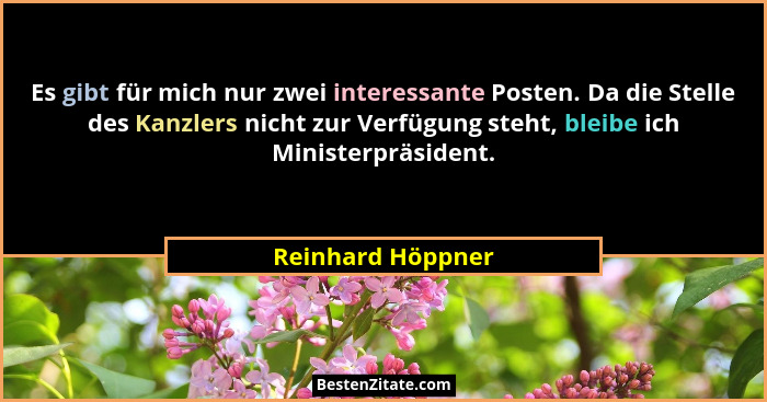 Es gibt für mich nur zwei interessante Posten. Da die Stelle des Kanzlers nicht zur Verfügung steht, bleibe ich Ministerpräsident.... - Reinhard Höppner