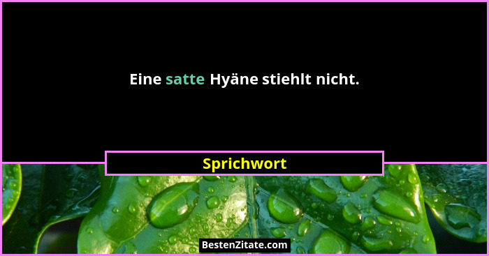Eine satte Hyäne stiehlt nicht.... - Sprichwort