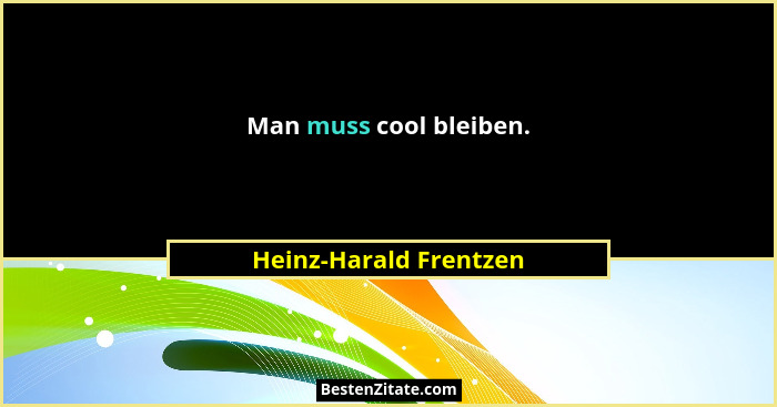 Man muss cool bleiben.... - Heinz-Harald Frentzen