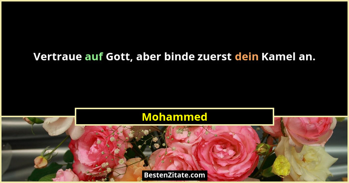 Vertraue auf Gott, aber binde zuerst dein Kamel an.... - Mohammed