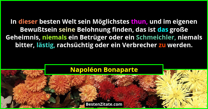 In dieser besten Welt sein Möglichstes thun, und im eigenen Bewußtsein seine Belohnung finden, das ist das große Geheimnis, niema... - Napoléon Bonaparte