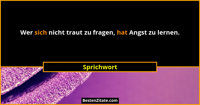 Wer sich nicht traut zu fragen, hat Angst zu lernen.... - Sprichwort
