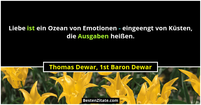 Liebe ist ein Ozean von Emotionen - eingeengt von Küsten, die Ausgaben heißen.... - Thomas Dewar, 1st Baron Dewar
