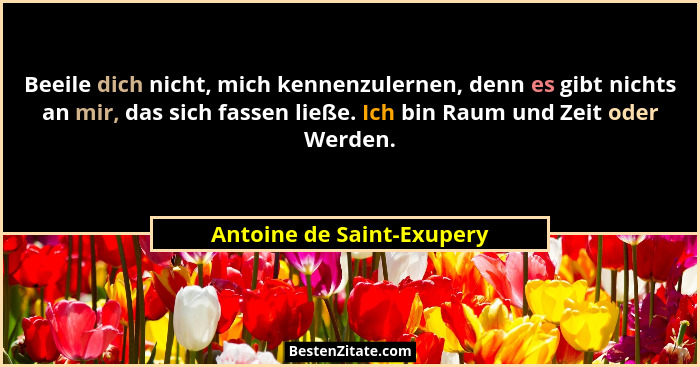 Beeile dich nicht, mich kennenzulernen, denn es gibt nichts an mir, das sich fassen ließe. Ich bin Raum und Zeit oder Werde... - Antoine de Saint-Exupery
