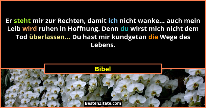 Er steht mir zur Rechten, damit ich nicht wanke... auch mein Leib wird ruhen in Hoffnung. Denn du wirst mich nicht dem Tod überlassen... Du ha... - Bibel