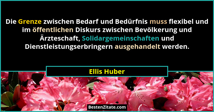 Die Grenze zwischen Bedarf und Bedürfnis muss flexibel und im öffentlichen Diskurs zwischen Bevölkerung und Ärzteschaft, Solidargemeinsc... - Ellis Huber