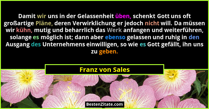 Damit wir uns in der Gelassenheit üben, schenkt Gott uns oft großartige Pläne, deren Verwirklichung er jedoch nicht will. Da müssen... - Franz von Sales