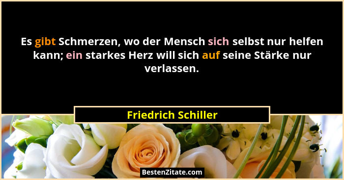 Es gibt Schmerzen, wo der Mensch sich selbst nur helfen kann; ein starkes Herz will sich auf seine Stärke nur verlassen.... - Friedrich Schiller