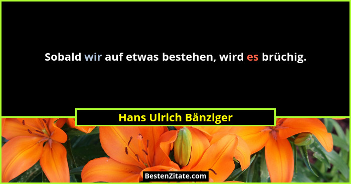 Sobald wir auf etwas bestehen, wird es brüchig.... - Hans Ulrich Bänziger