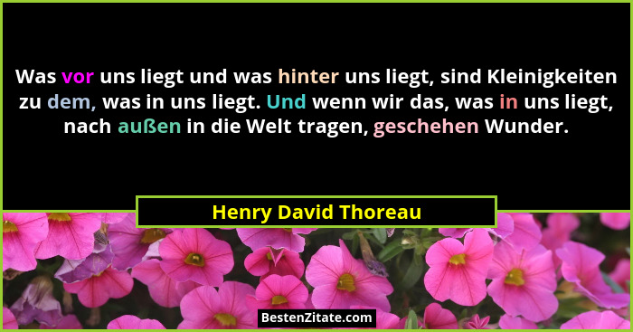 Was vor uns liegt und was hinter uns liegt, sind Kleinigkeiten zu dem, was in uns liegt. Und wenn wir das, was in uns liegt, nac... - Henry David Thoreau