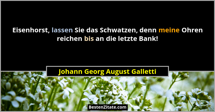 Eisenhorst, lassen Sie das Schwatzen, denn meine Ohren reichen bis an die letzte Bank!... - Johann Georg August Galletti