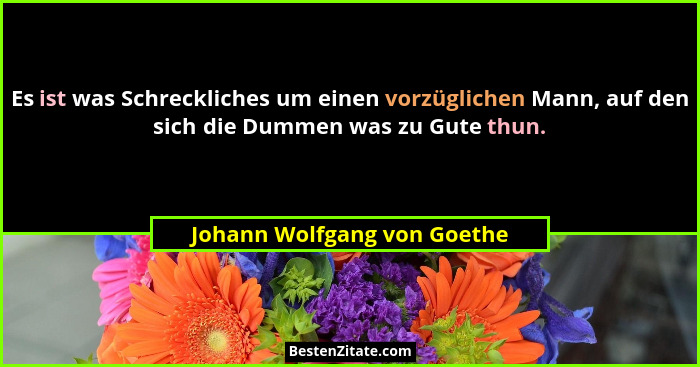 Es ist was Schreckliches um einen vorzüglichen Mann, auf den sich die Dummen was zu Gute thun.... - Johann Wolfgang von Goethe