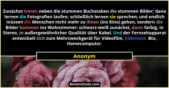 Zunächst treten neben die stummen Buchstaben die stummen Bilder; dann lernen die Fotografien laufen; schließlich lernen sie sprechen; und end... - Anonym