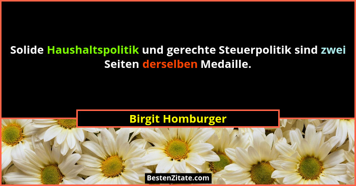 Solide Haushaltspolitik und gerechte Steuerpolitik sind zwei Seiten derselben Medaille.... - Birgit Homburger