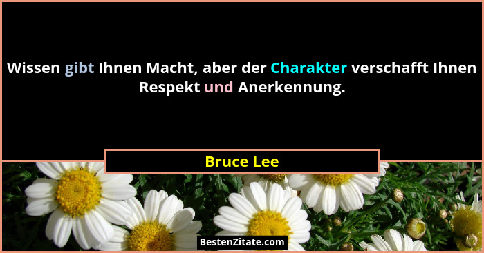 Wissen gibt Ihnen Macht, aber der Charakter verschafft Ihnen Respekt und Anerkennung.... - Bruce Lee