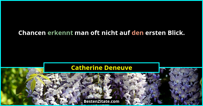 Chancen erkennt man oft nicht auf den ersten Blick.... - Catherine Deneuve