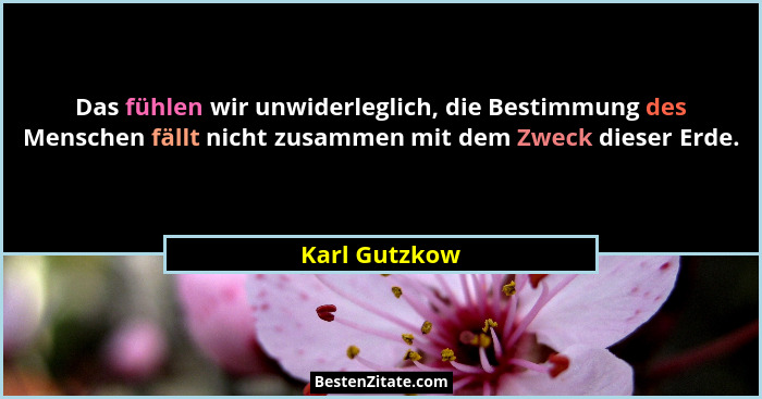Das fühlen wir unwiderleglich, die Bestimmung des Menschen fällt nicht zusammen mit dem Zweck dieser Erde.... - Karl Gutzkow