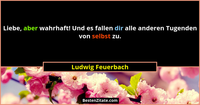Liebe, aber wahrhaft! Und es fallen dir alle anderen Tugenden von selbst zu.... - Ludwig Feuerbach
