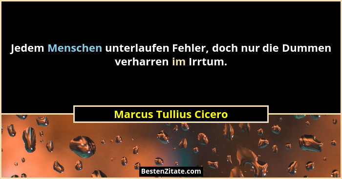 Jedem Menschen unterlaufen Fehler, doch nur die Dummen verharren im Irrtum.... - Marcus Tullius Cicero