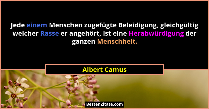 Jede einem Menschen zugefügte Beleidigung, gleichgültig welcher Rasse er angehört, ist eine Herabwürdigung der ganzen Menschheit.... - Albert Camus