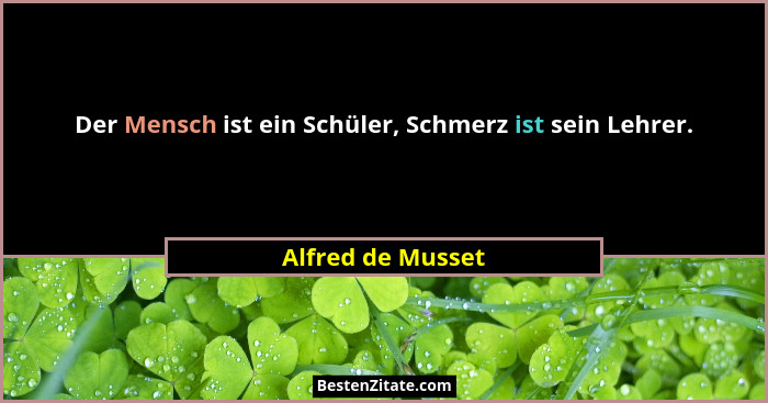 Der Mensch ist ein Schüler, Schmerz ist sein Lehrer.... - Alfred de Musset