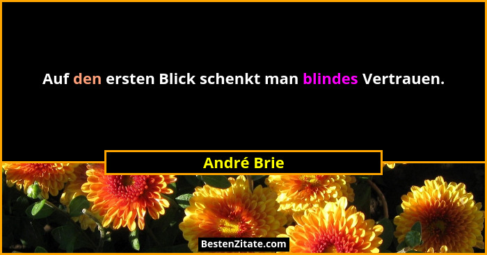 Auf den ersten Blick schenkt man blindes Vertrauen.... - André Brie