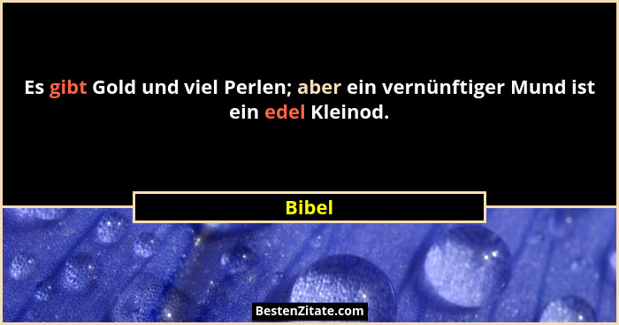 Es gibt Gold und viel Perlen; aber ein vernünftiger Mund ist ein edel Kleinod.... - Bibel