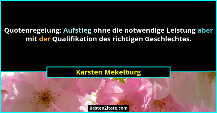 Quotenregelung: Aufstieg ohne die notwendige Leistung aber mit der Qualifikation des richtigen Geschlechtes.... - Karsten Mekelburg