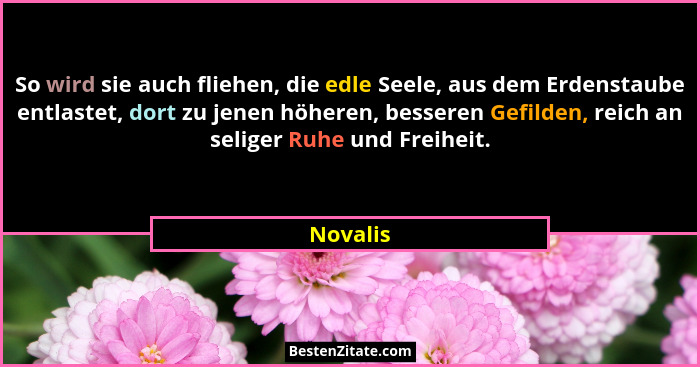 So wird sie auch fliehen, die edle Seele, aus dem Erdenstaube entlastet, dort zu jenen höheren, besseren Gefilden, reich an seliger Ruhe und... - Novalis