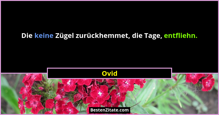 Die keine Zügel zurückhemmet, die Tage, entfliehn.... - Ovid