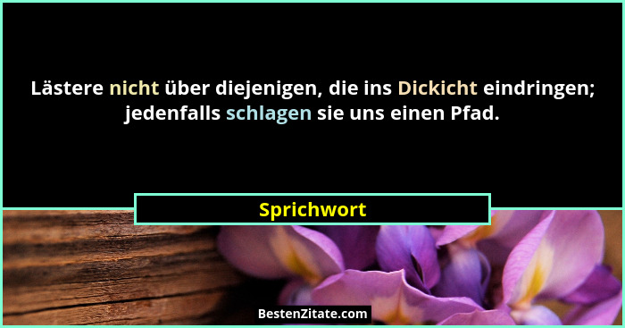 Lästere nicht über diejenigen, die ins Dickicht eindringen; jedenfalls schlagen sie uns einen Pfad.... - Sprichwort