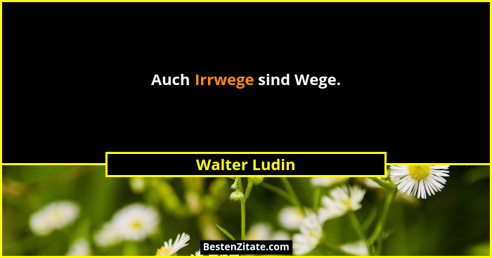 Auch Irrwege sind Wege.... - Walter Ludin