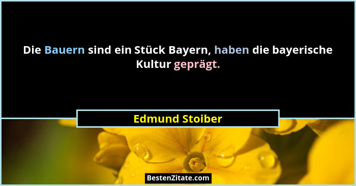 Die Bauern sind ein Stück Bayern, haben die bayerische Kultur geprägt.... - Edmund Stoiber