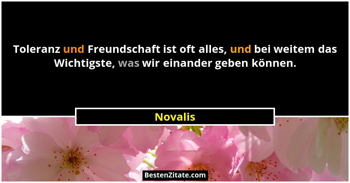Toleranz und Freundschaft ist oft alles, und bei weitem das Wichtigste, was wir einander geben können.... - Novalis