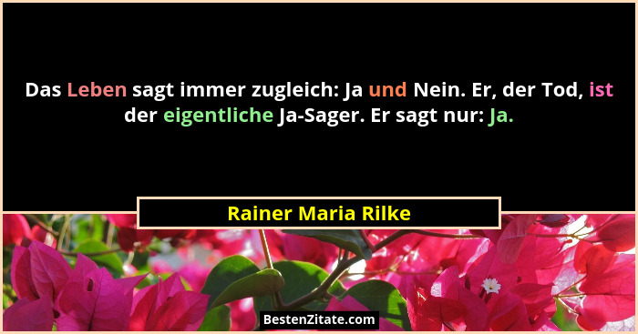 Das Leben sagt immer zugleich: Ja und Nein. Er, der Tod, ist der eigentliche Ja-Sager. Er sagt nur: Ja.... - Rainer Maria Rilke