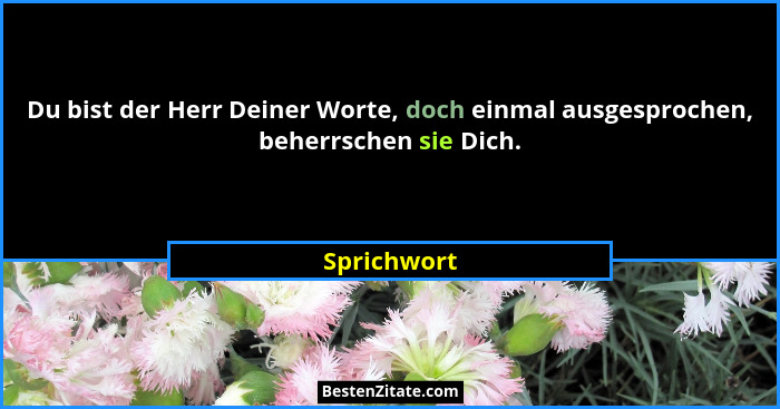 Du bist der Herr Deiner Worte, doch einmal ausgesprochen, beherrschen sie Dich.... - Sprichwort