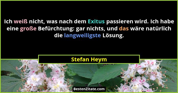 Ich weiß nicht, was nach dem Exitus passieren wird. Ich habe eine große Befürchtung: gar nichts, und das wäre natürlich die langweiligst... - Stefan Heym