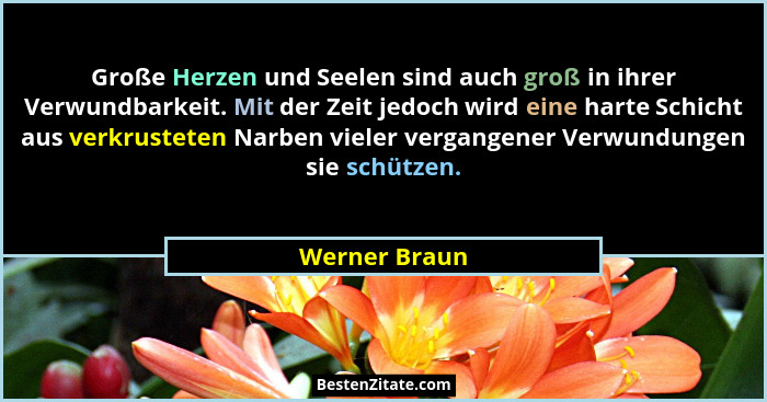 Große Herzen und Seelen sind auch groß in ihrer Verwundbarkeit. Mit der Zeit jedoch wird eine harte Schicht aus verkrusteten Narben vie... - Werner Braun