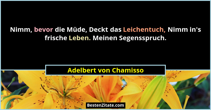 Nimm, bevor die Müde, Deckt das Leichentuch, Nimm in's frische Leben. Meinen Segensspruch.... - Adelbert von Chamisso