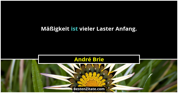 Mäßigkeit ist vieler Laster Anfang.... - André Brie