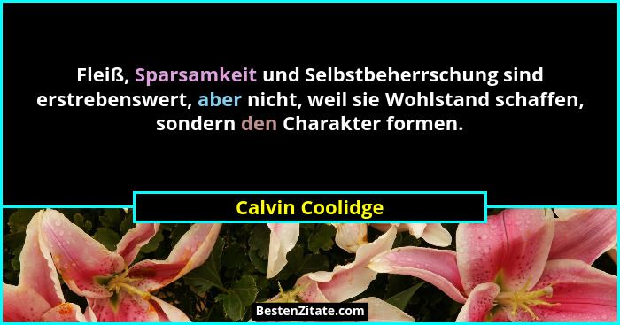 Fleiß, Sparsamkeit und Selbstbeherrschung sind erstrebenswert, aber nicht, weil sie Wohlstand schaffen, sondern den Charakter formen... - Calvin Coolidge