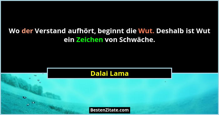 Wo der Verstand aufhört, beginnt die Wut. Deshalb ist Wut ein Zeichen von Schwäche.... - Dalai Lama
