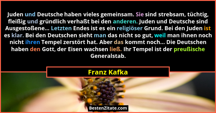 Juden und Deutsche haben vieles gemeinsam. Sie sind strebsam, tüchtig, fleißig und gründlich verhaßt bei den anderen. Juden und Deutsche... - Franz Kafka