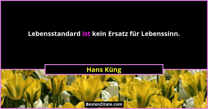 Lebensstandard ist kein Ersatz für Lebenssinn.... - Hans Küng