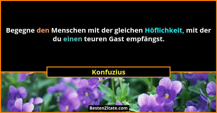Begegne den Menschen mit der gleichen Höflichkeit, mit der du einen teuren Gast empfängst.... - Konfuzius