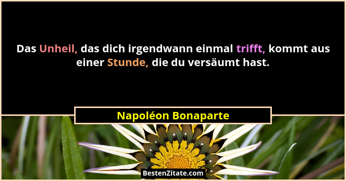 Das Unheil, das dich irgendwann einmal trifft, kommt aus einer Stunde, die du versäumt hast.... - Napoléon Bonaparte